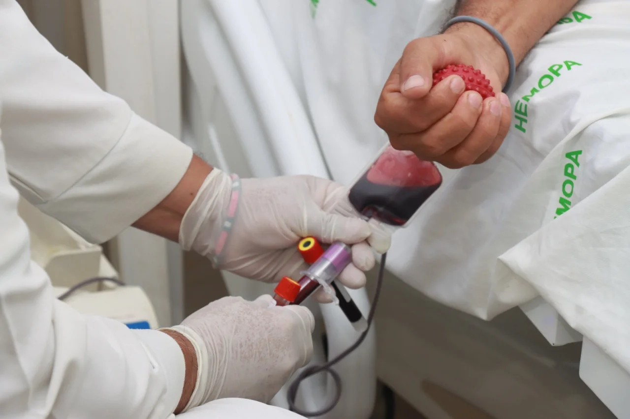 Blood donation campaign in Óbidos collects 179 bags to reinforce Hemopa stocks