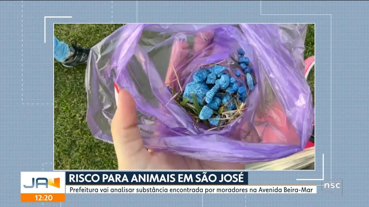 VIDEOS: Florianópolis Lunchtime News on Monday, June 22, 2026